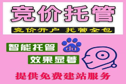 案例分享：SEM推广助力电商快速崛起